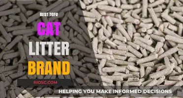 Top-Rated Tofu Cat Litter Brands: Eco-Friendly and Odor-Control Solutions for Your Feline Friend