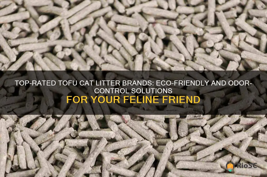 best tofu cat litter brand