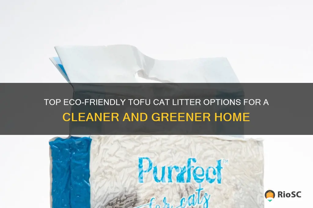 best tofu cat litter list