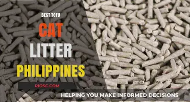 Top-Rated Tofu Cat Litter Brands in the Philippines: Eco-Friendly and Odor-Free Solutions for Your Feline Friend