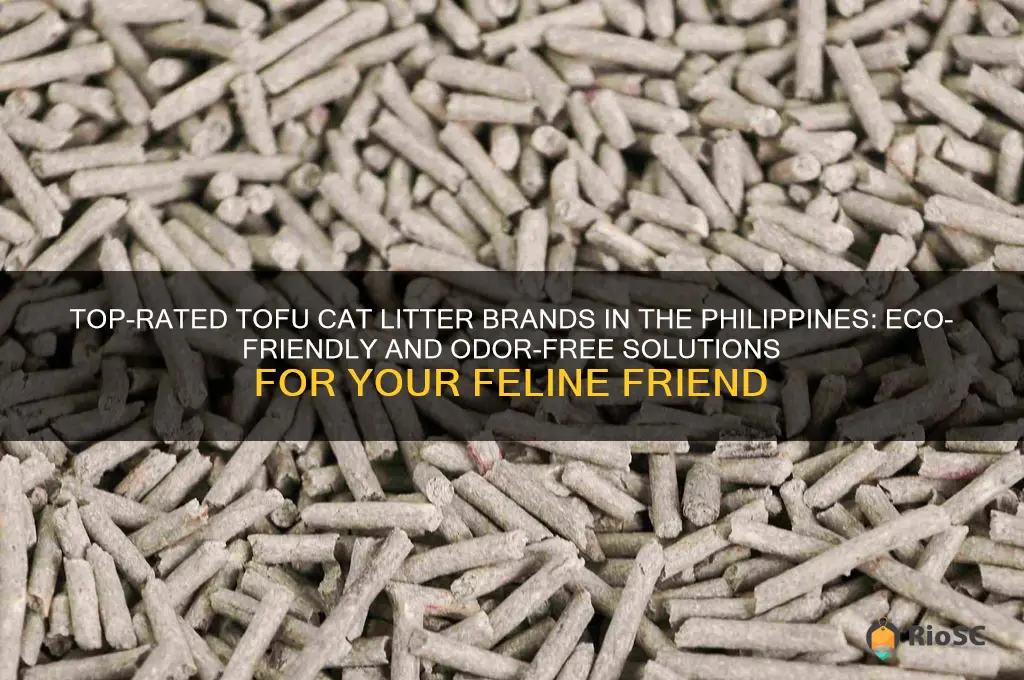 best tofu cat litter philippines