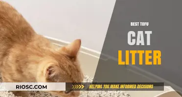 Eco-Friendly and Odor-Free: Why Tofu Cat Litter is the Best Choice for Your Feline Friend