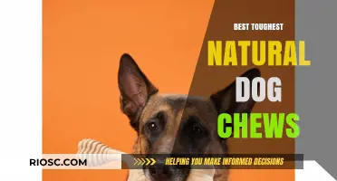 Durable and Safe: The Ultimate Guide to the Best Natural Dog Chews for Aggressive Chewers