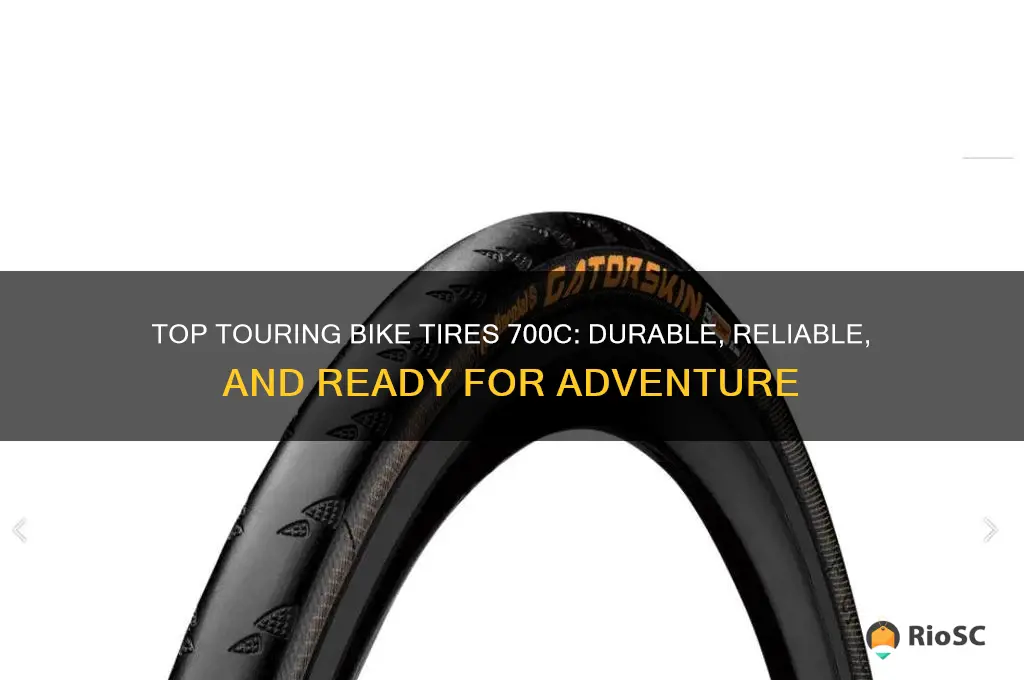 best touring bike tires 700c