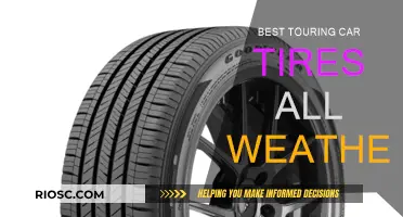 All-Weather Champions: Touring Car Tires for Every Season