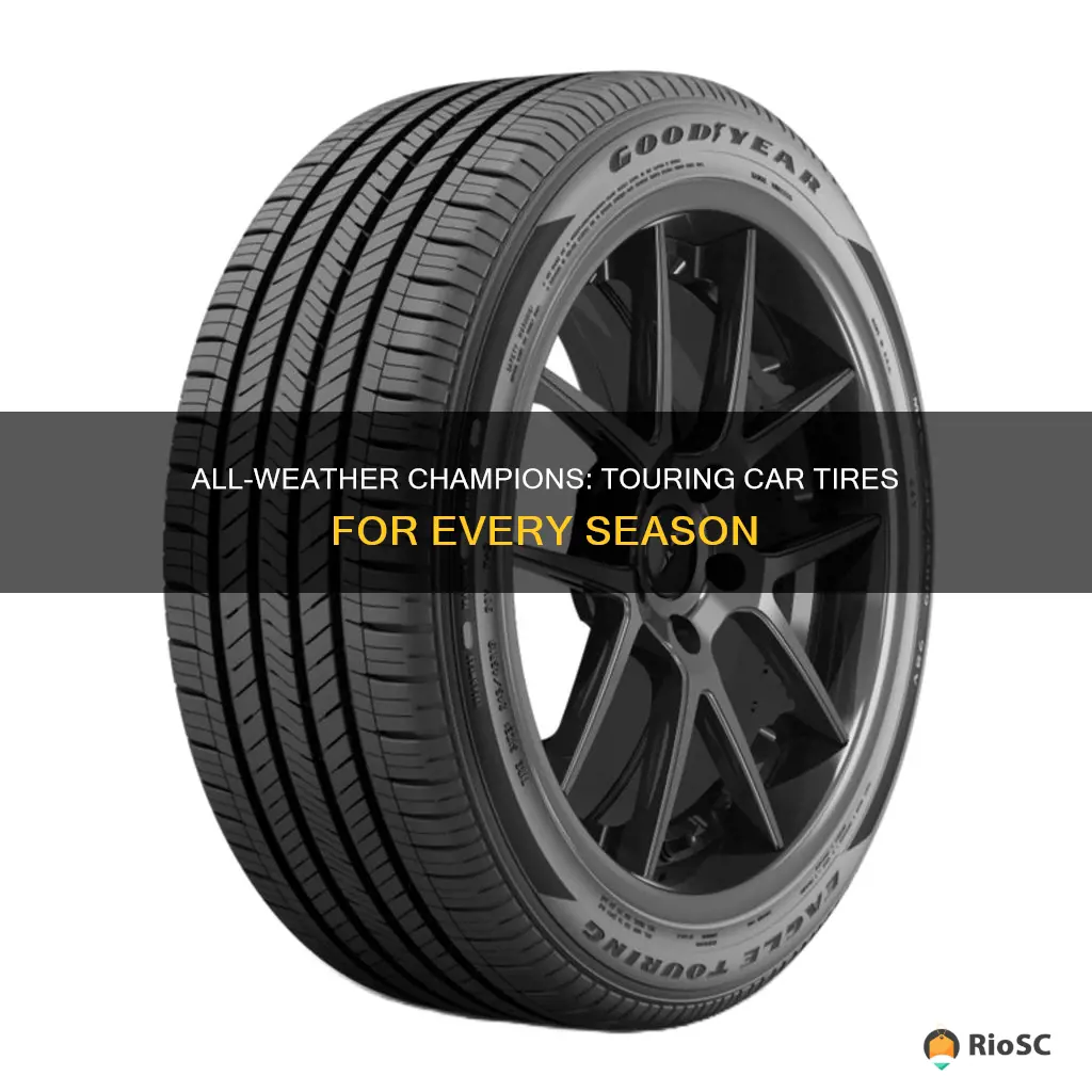 best touring car tires all weather