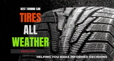 All-Weather Champions: Touring Car Tires for Every Season