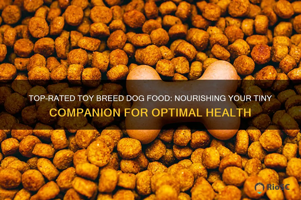 best toy breed dog food