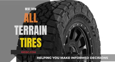 Toyo's Tire Treasures: Unveiling the Best All-Terrain Options