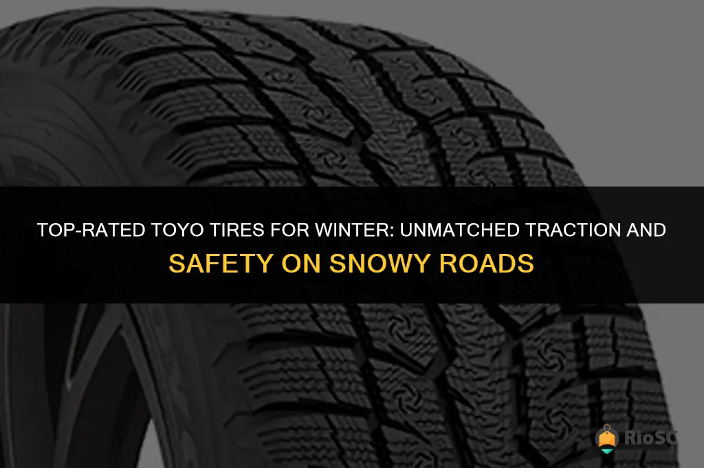 best toyo tires for snow