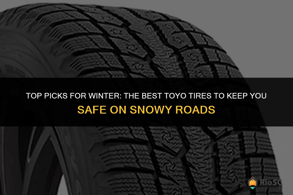 best toyo winter tires