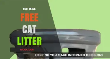 Top Eco-Friendly and Cost-Effective Alternatives to Track-Free Cat Litter
