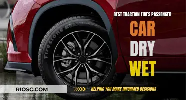 Traction Tires for All Conditions: Finding the Best for Your Passenger Car