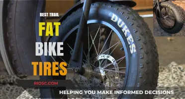 Top Trail Fat Bike Tires: Ultimate Traction and Performance for Off-Road Adventures