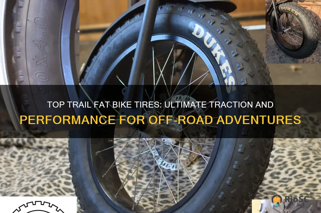 best trail fat bike tires