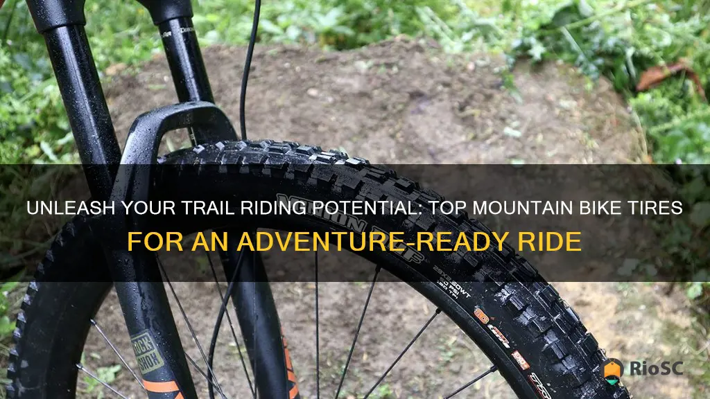 best trail mountain bike tires