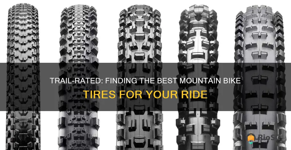 best trail mountain bike tires