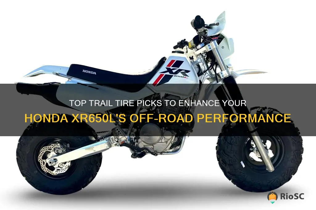 best trail tires for honda xr650l