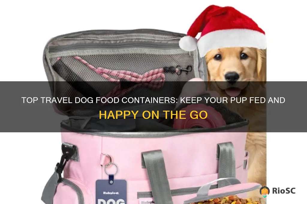 best travel dog food container
