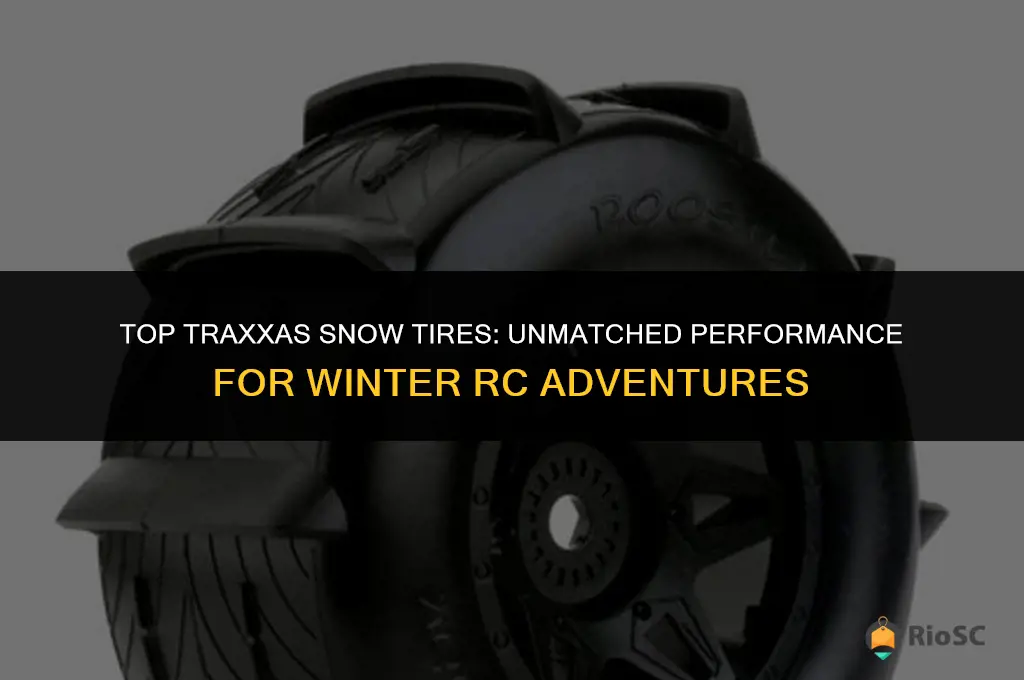 best traxxas snow tires