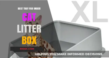 Top Picks: Best Trays to Keep Your Cat Litter Box Area Clean and Tidy
