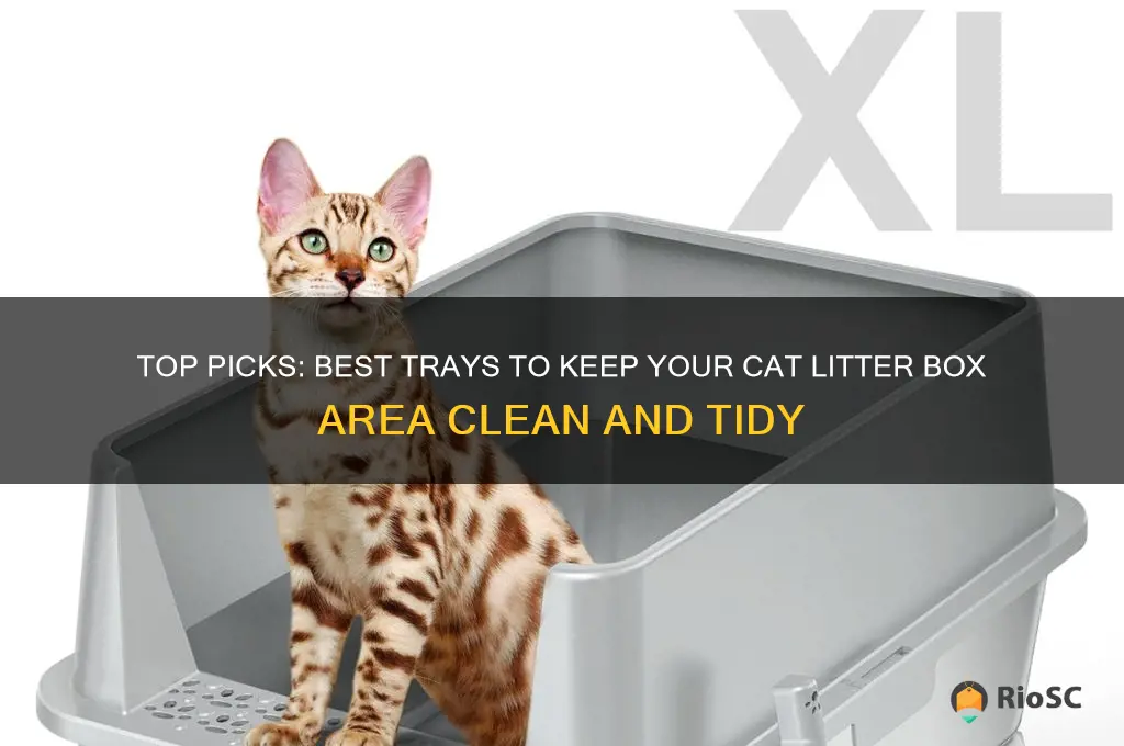 best tray for under cat litter box