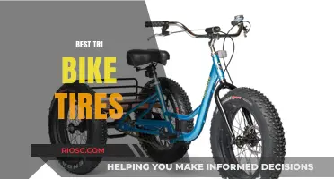Top-Rated Tri Bike Tires for Speed, Durability, and Performance