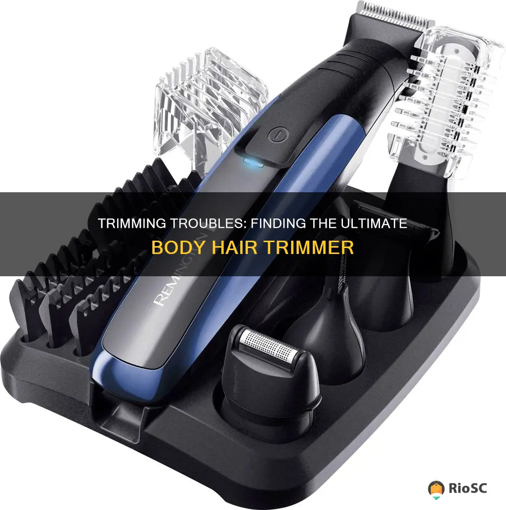 best trimmer body hair