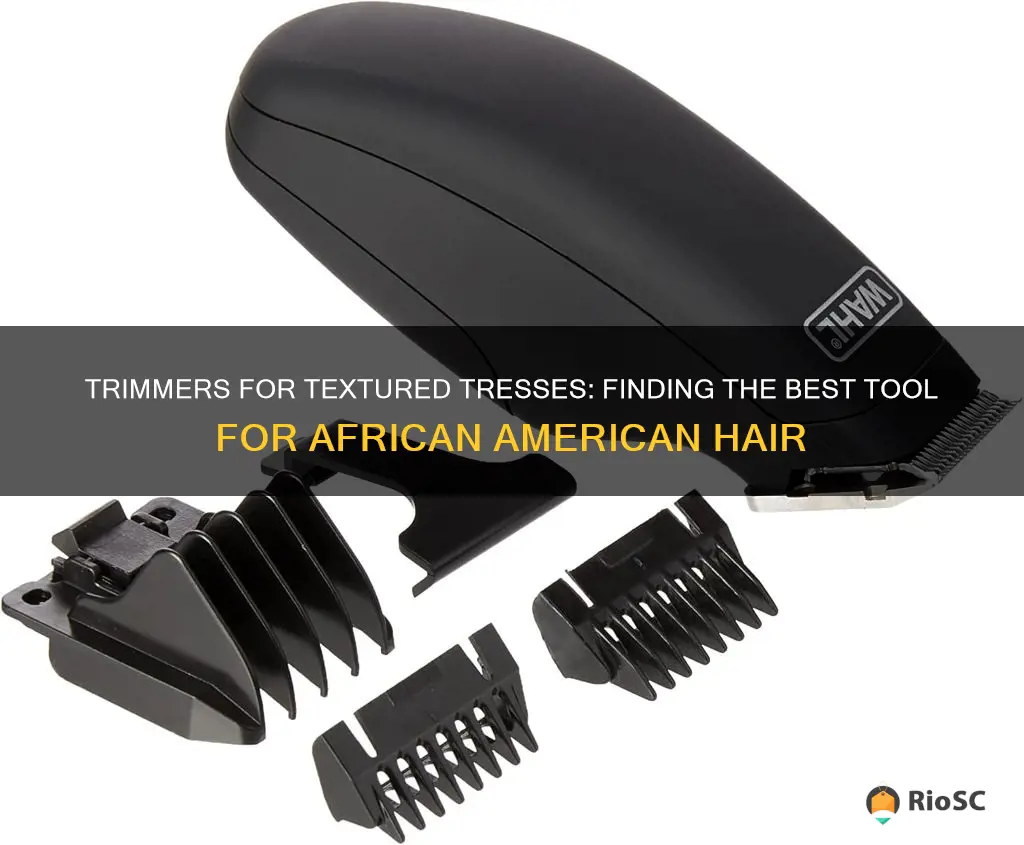 best trimmer for african american hair