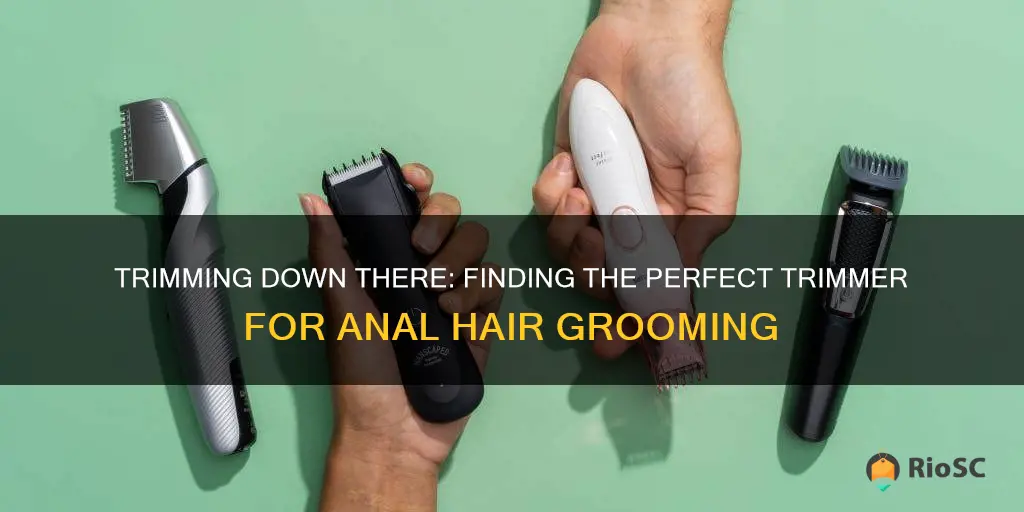 best trimmer for anal hair