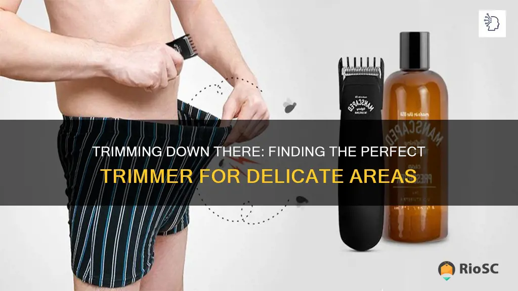 best trimmer for anus hair