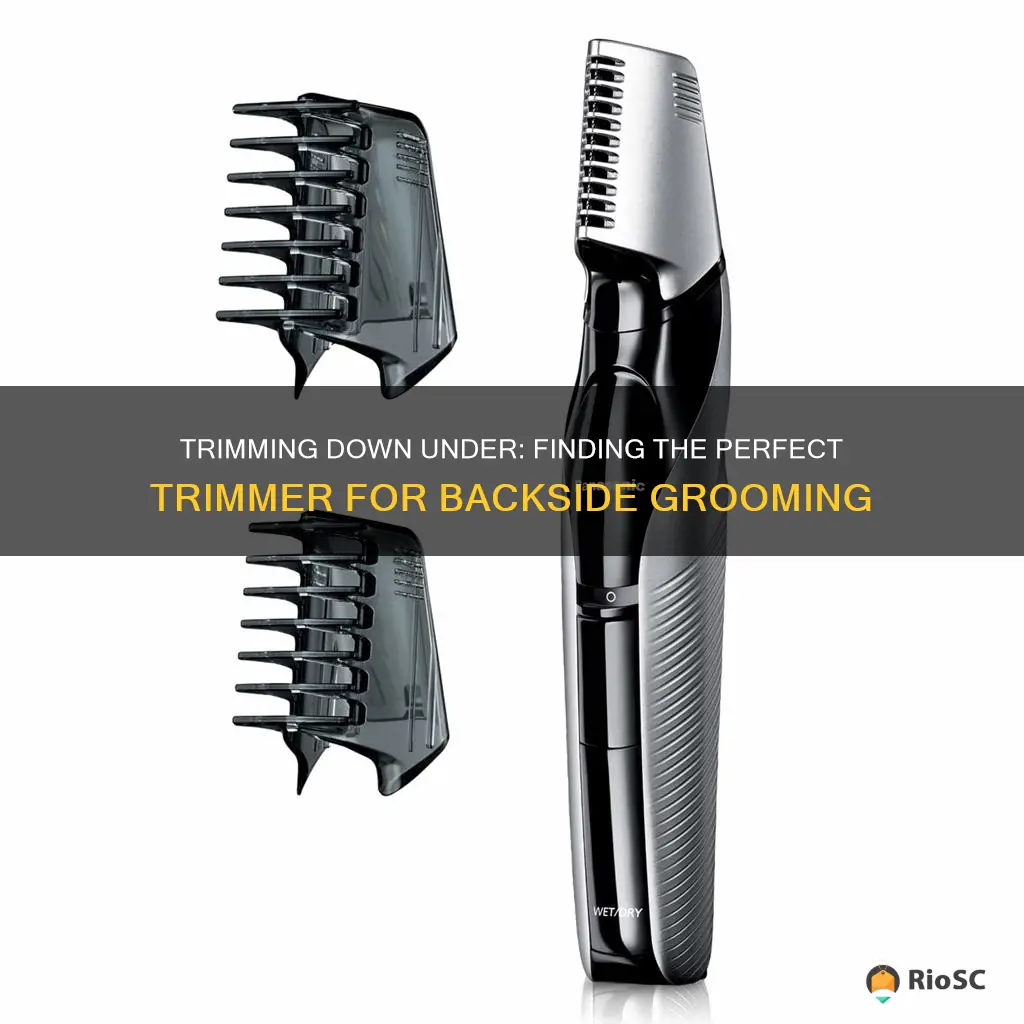 best trimmer for ass hair