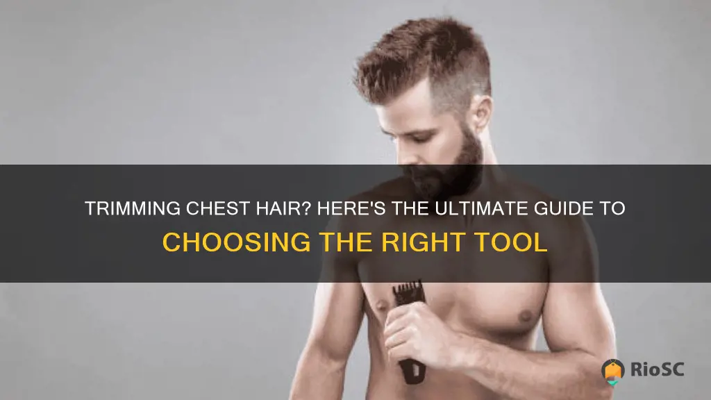 best trimmer for chest hair