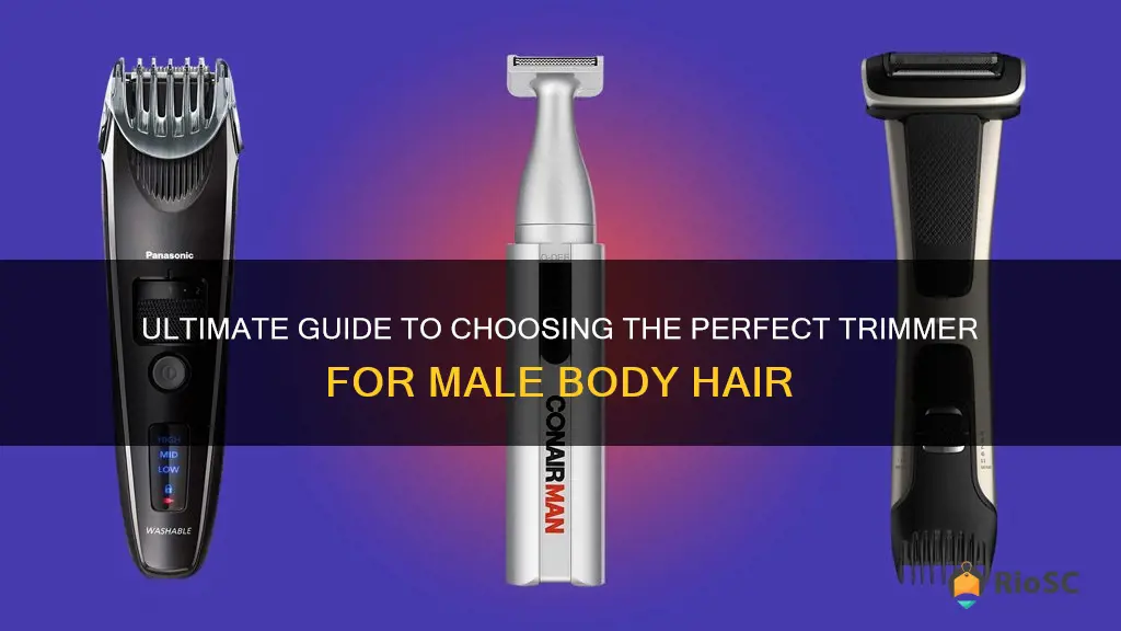 best trimmer for male body hair