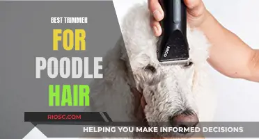 Top Trimmers for Perfect Poodle Grooming