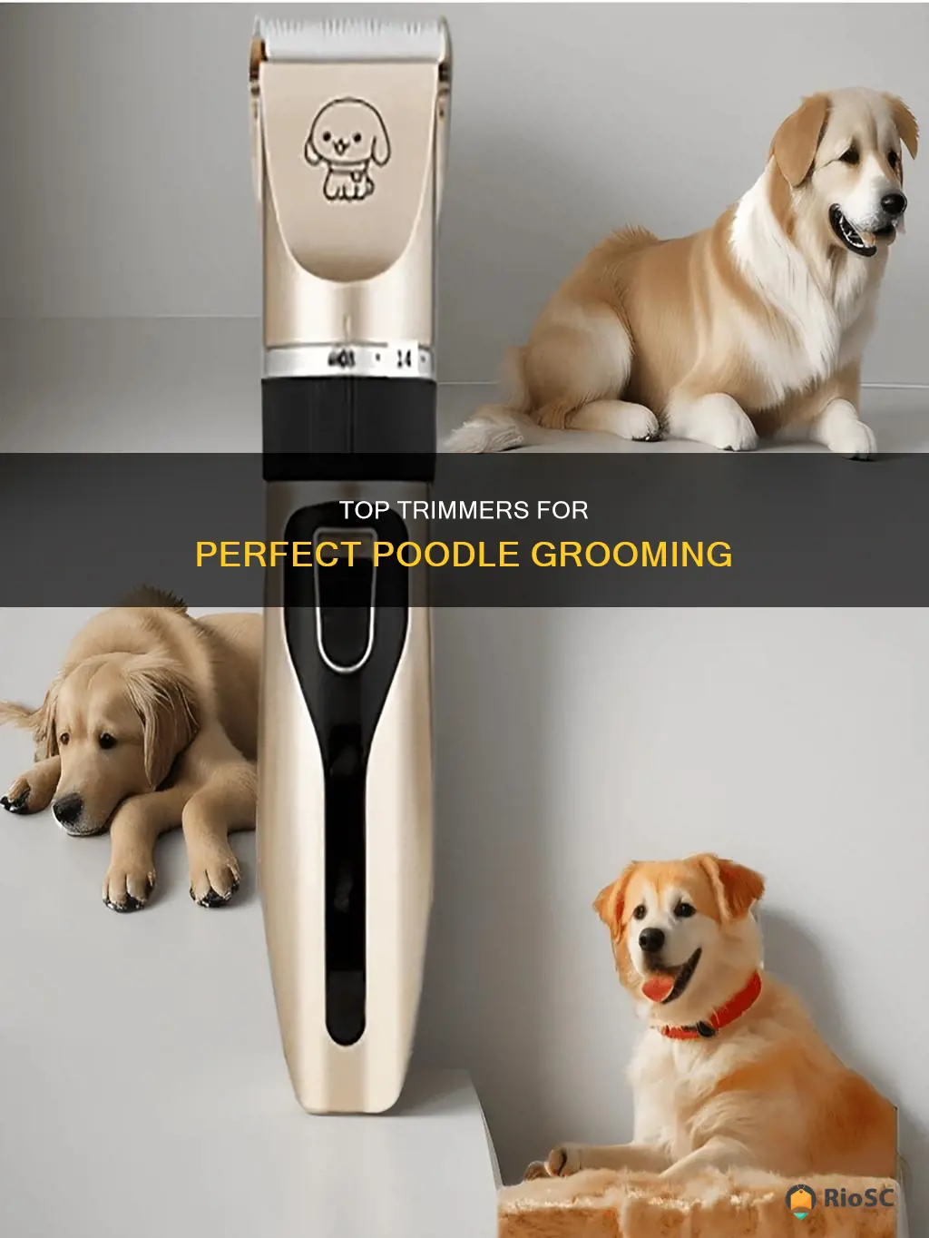 best trimmer for poodle hair