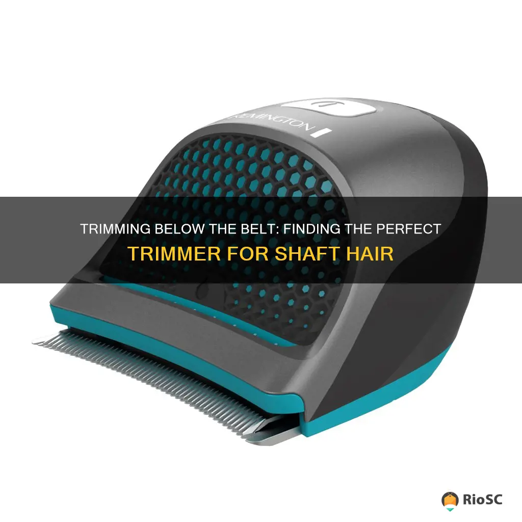 best trimmer for shaft hair