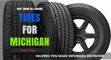 Top-Rated All-Season Truck Tires for Michigan's Diverse Weather Conditions