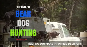 Top Truck Picks for Bear Dog Hunting: Durability, Power, and Terrain Mastery