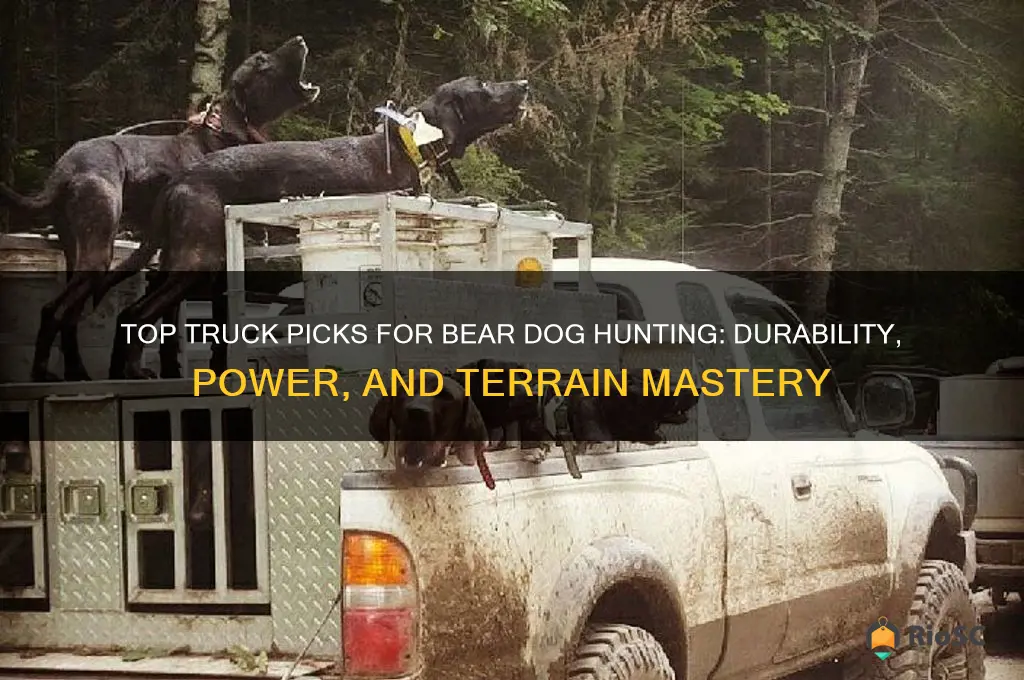 best truck for bear dog hunting