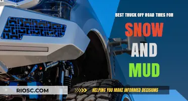 Conquer Any Terrain: Top Off-Road Truck Tires for Snow and Mud