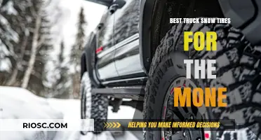 Top Truck Snow Tires: Unbeatable Performance for Your Money
