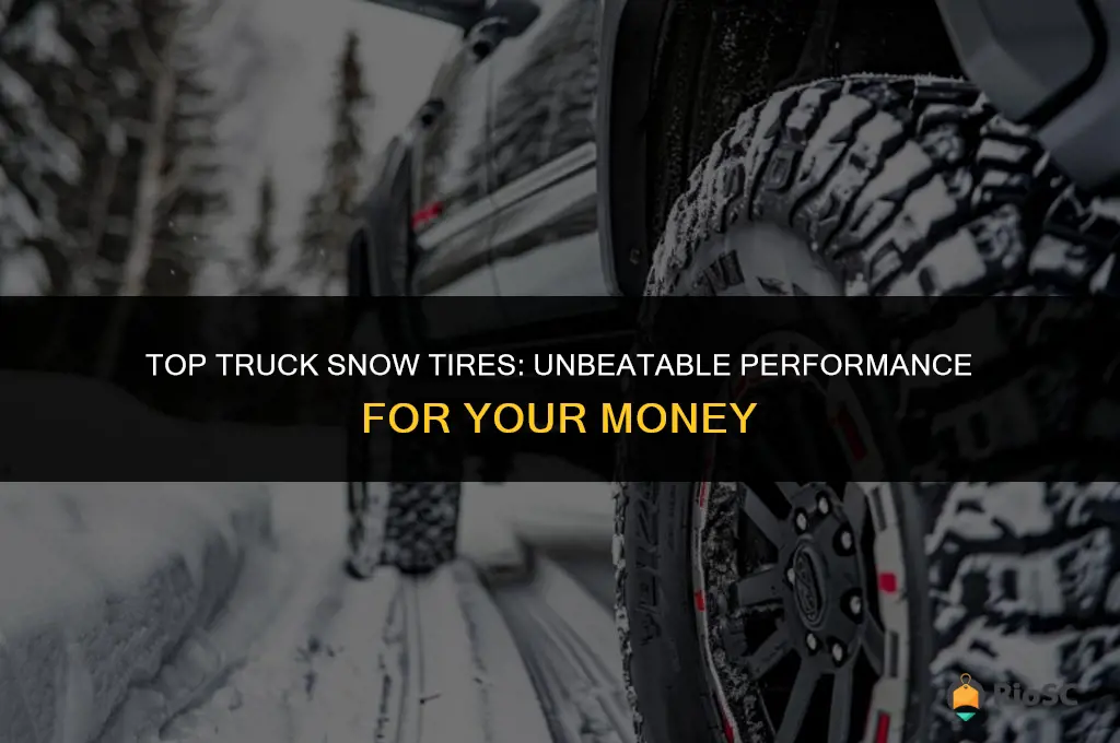 best truck snow tires for the mone