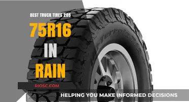 Top-Rated Truck Tires for Rainy Conditions: 285/75R16 Size