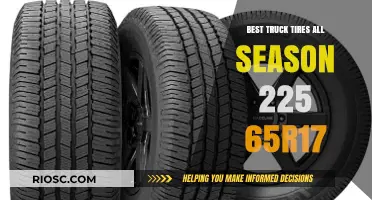 Top-Rated All-Season Truck Tires: 225/65R17 Options for Every Journey