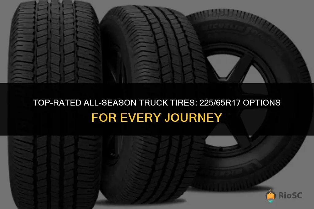 best truck tires all season 225 65r17
