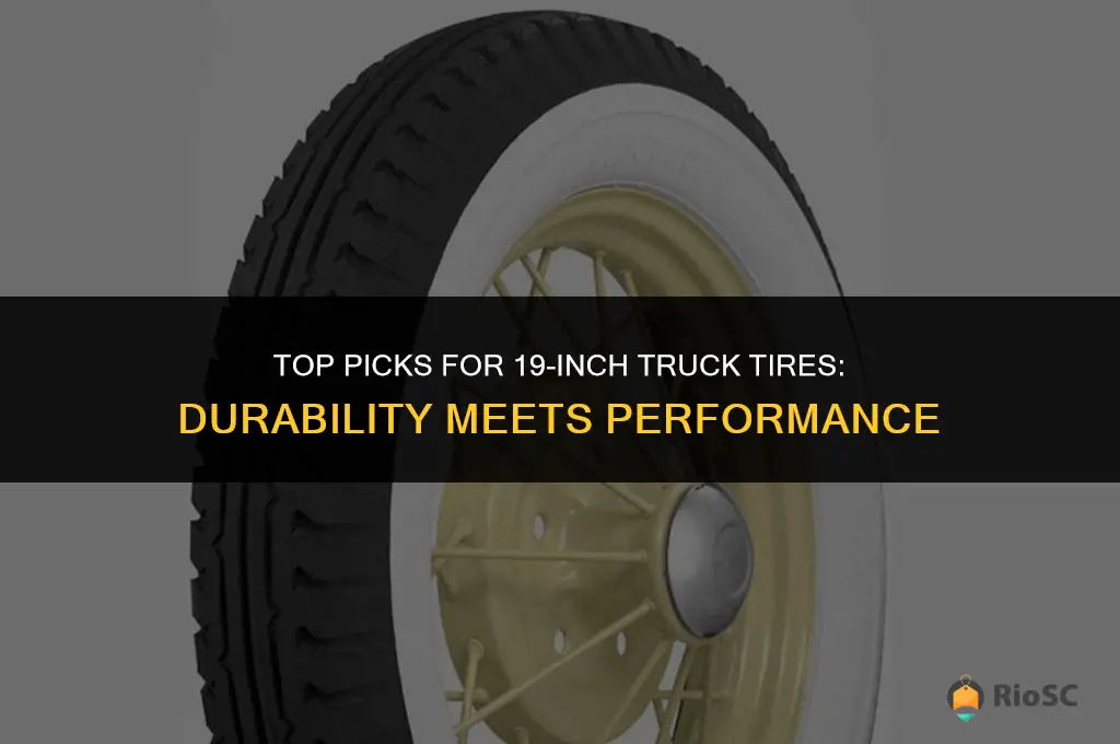 best truck tires for 19in