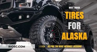 Conquering the Alaskan Terrain: Top Truck Tire Picks for Unmatched Performance