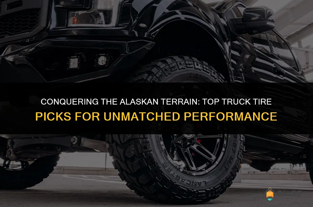 best truck tires for alaska