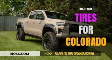 Top Truck Tire Picks for Colorado's Diverse Terrain and Weather Conditions